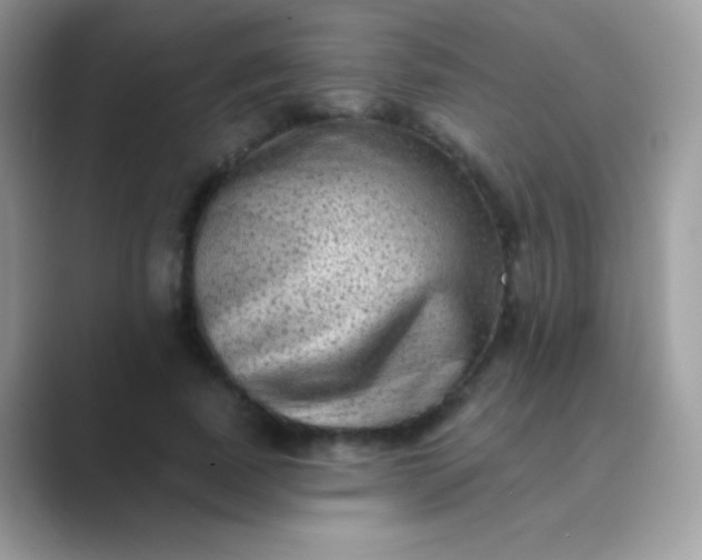 X0000089760739200707051833