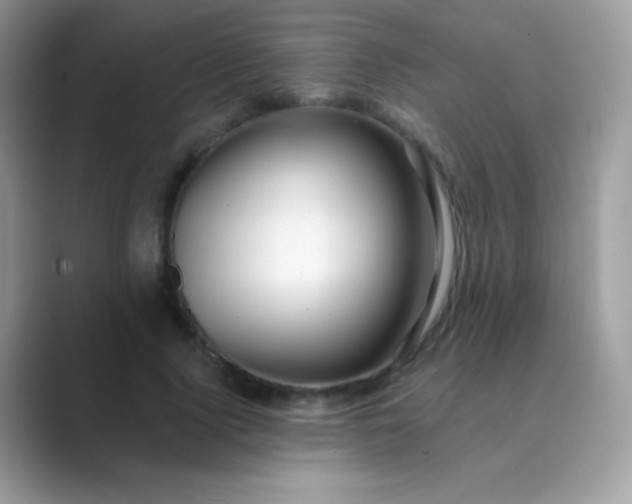 X0000089760740200707051833