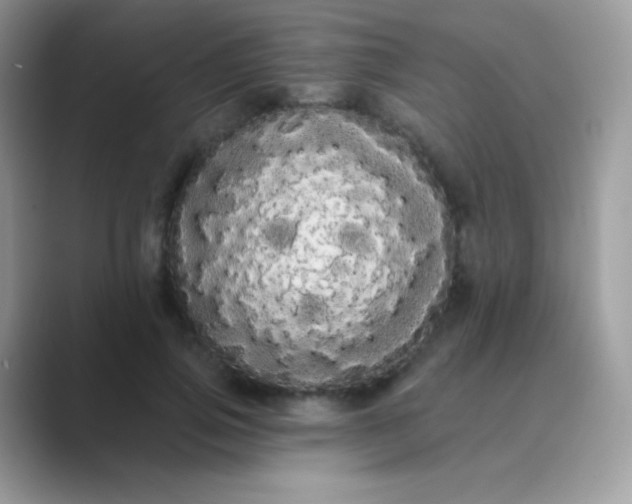 X0000089760741200707051833