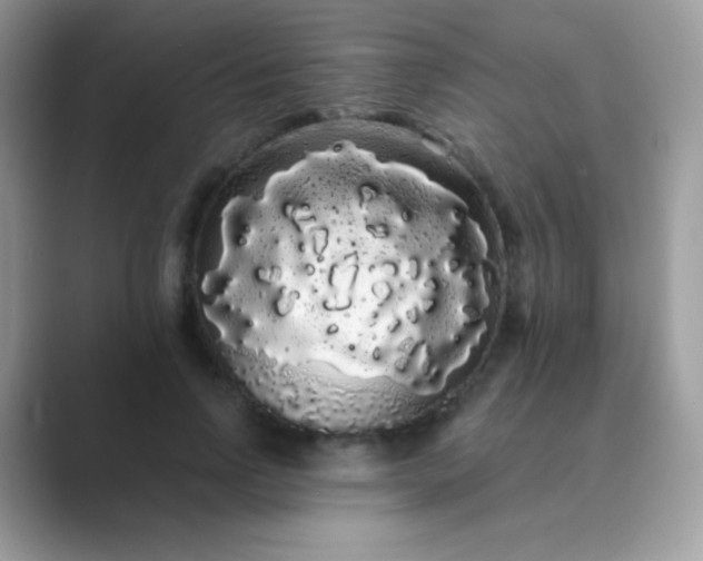 X0000089760742200707051833