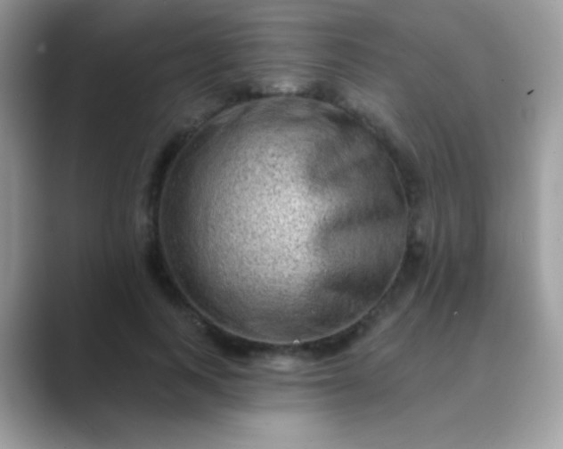 X0000089760743200707051833