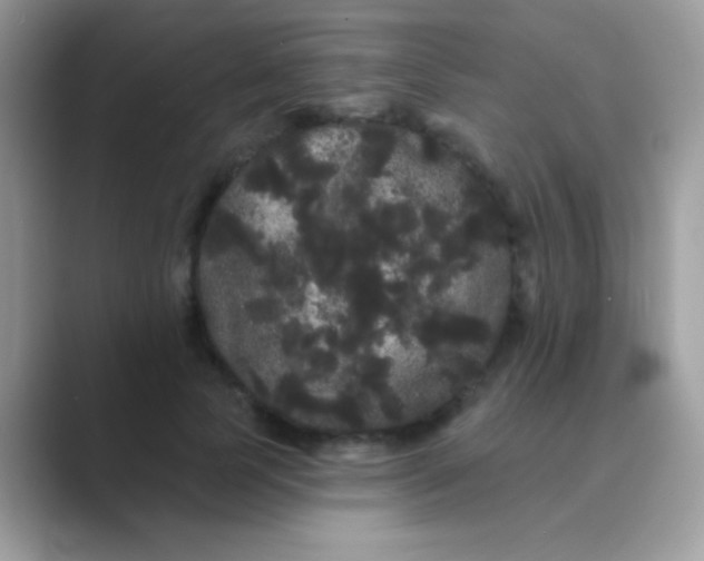 X0000089760745200707051833