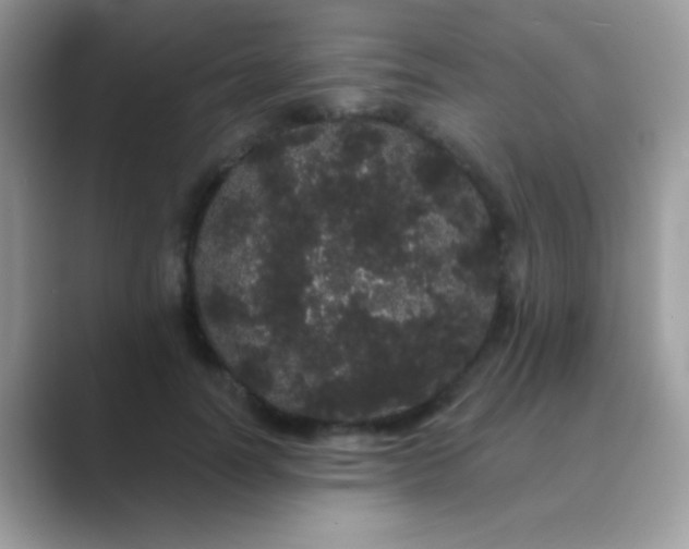 X0000089760746200707051833