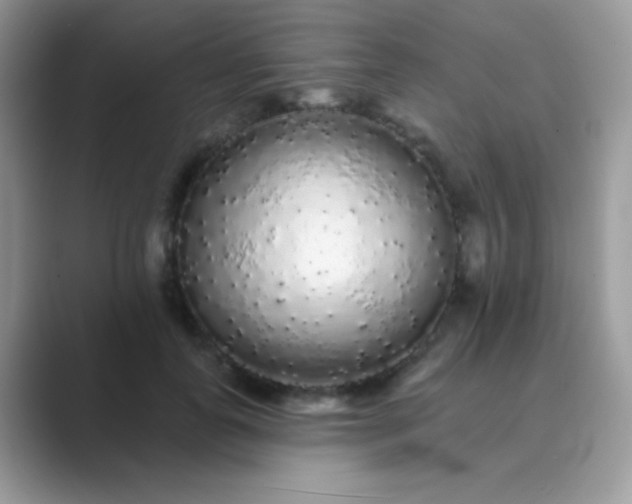 X0000089760747200707051833