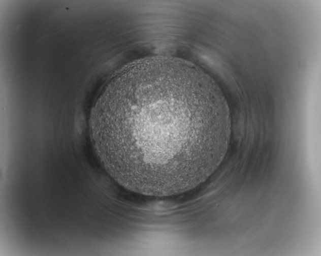 X0000089760748200707051833