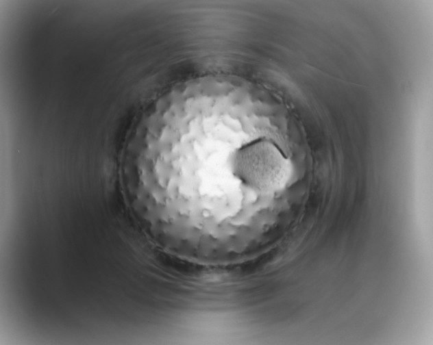 X0000089760749200707051833