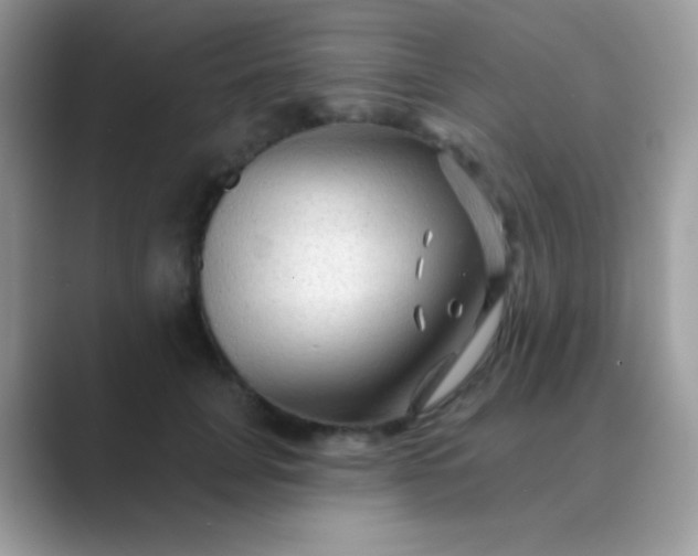 X0000089760751200707051833