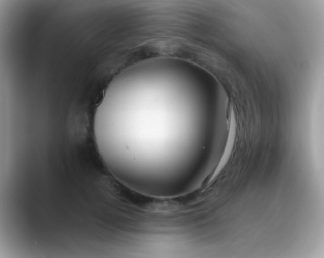 X0000089760752200707051833