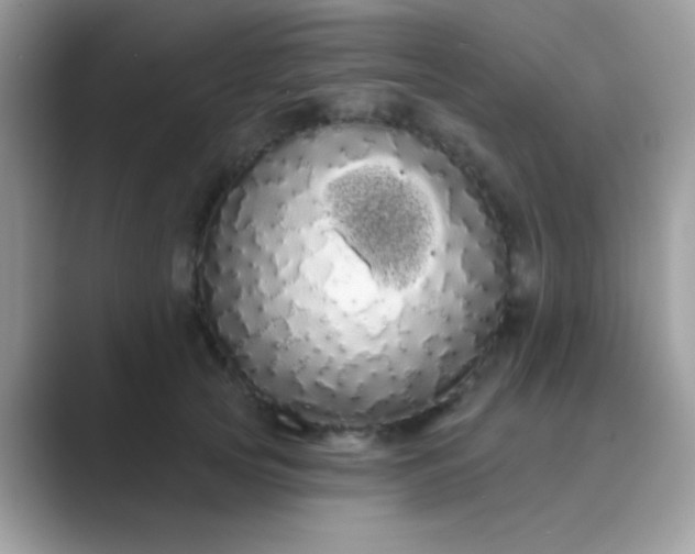 X0000089760753200707051833