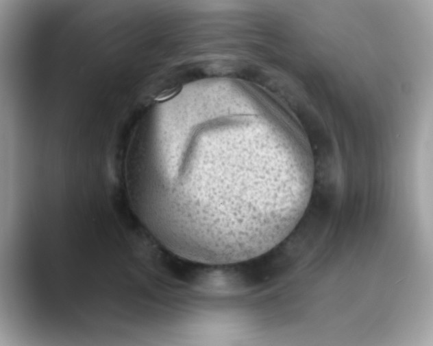 X0000089760755200707051833