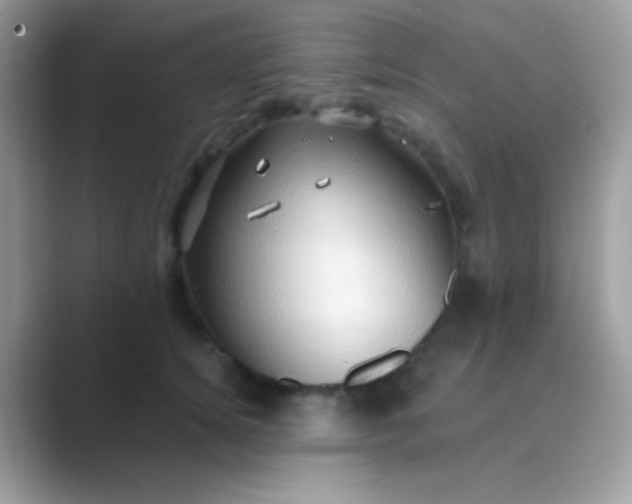 X0000089760756200707051833