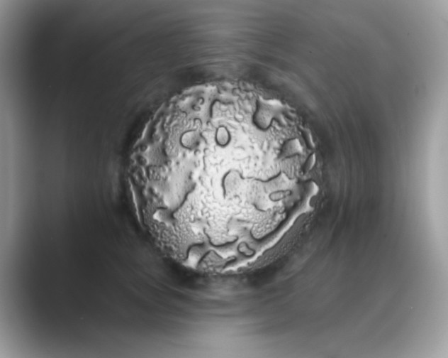 X0000089760757200707051833