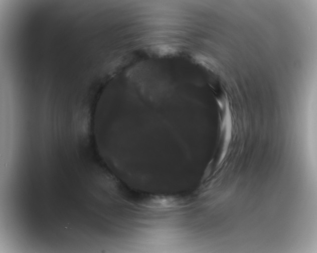 X0000089760760200707051833