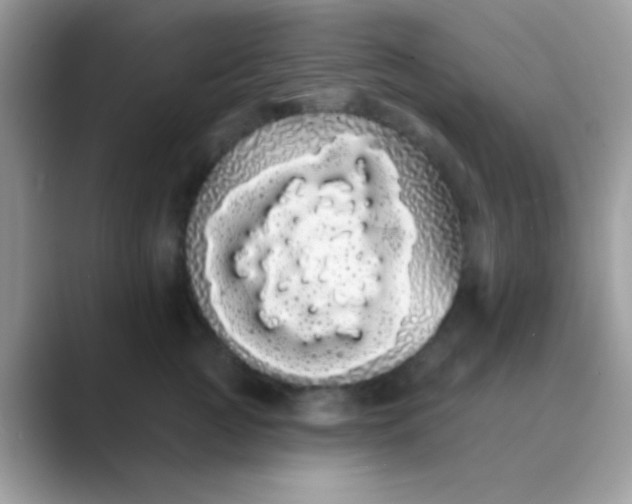 X0000089760761200707051833