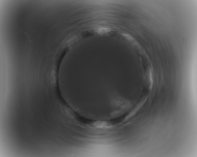 X0000089760762200707051833