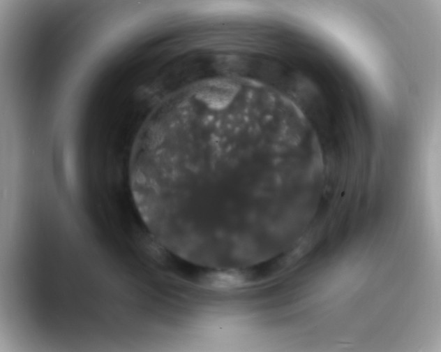 X0000089760765200707051833