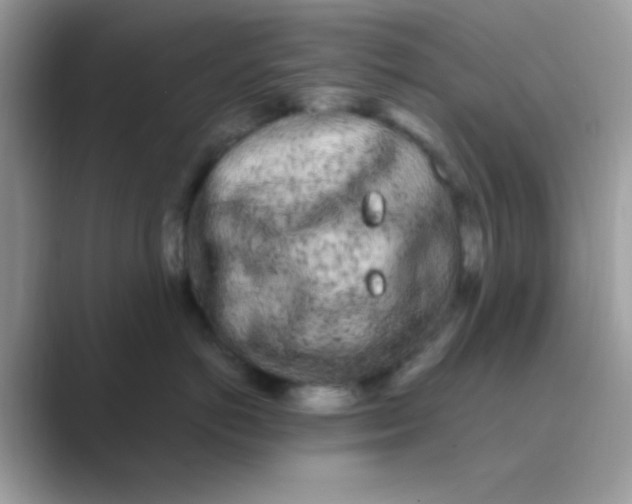 X0000089760766200707051833