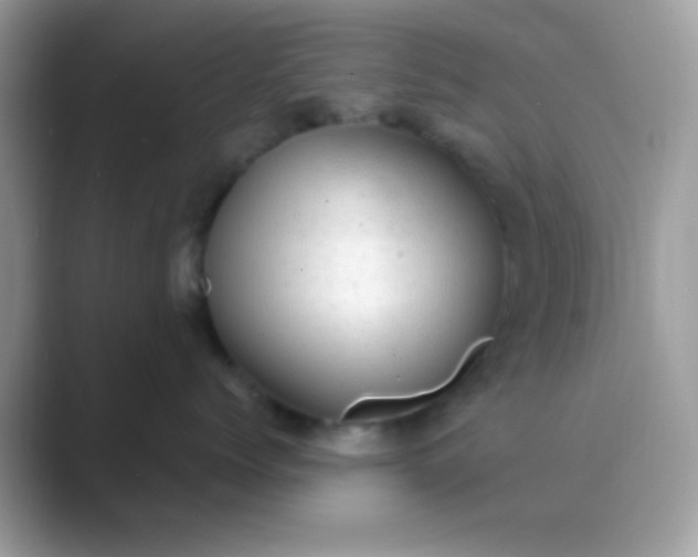 X0000089760768200707051833