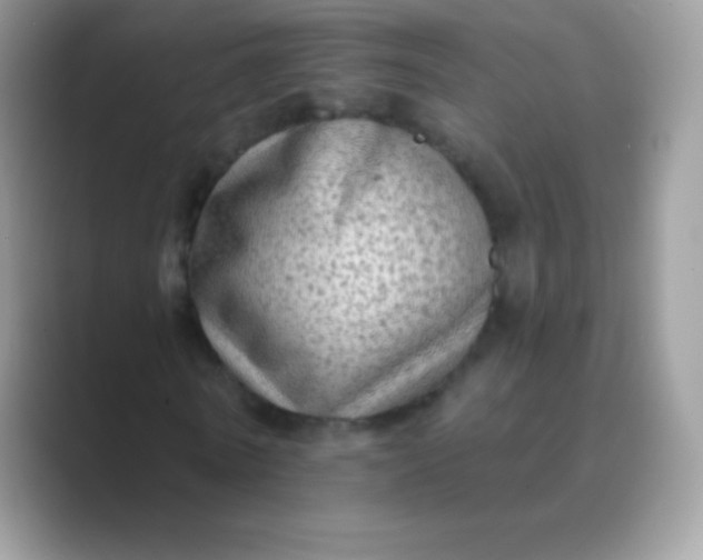 X0000089760770200707051832