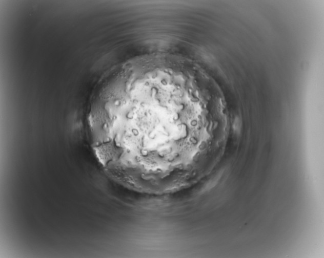 X0000089760771200707051832