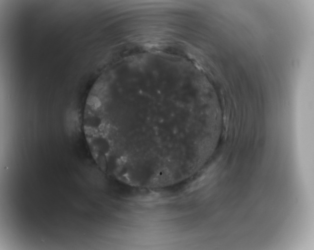 X0000089760772200707051832