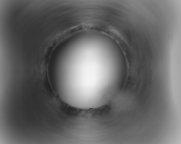 X0000089760773200707051832