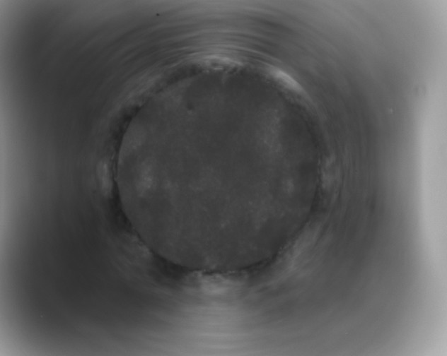 X0000089760774200707051832