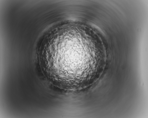 X0000089760776200707051832