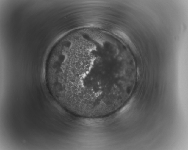 X0000089760780200707051832