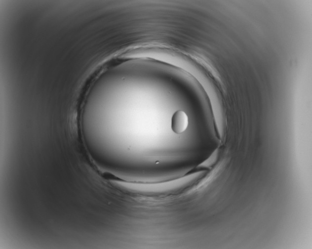 X0000089760781200707051832