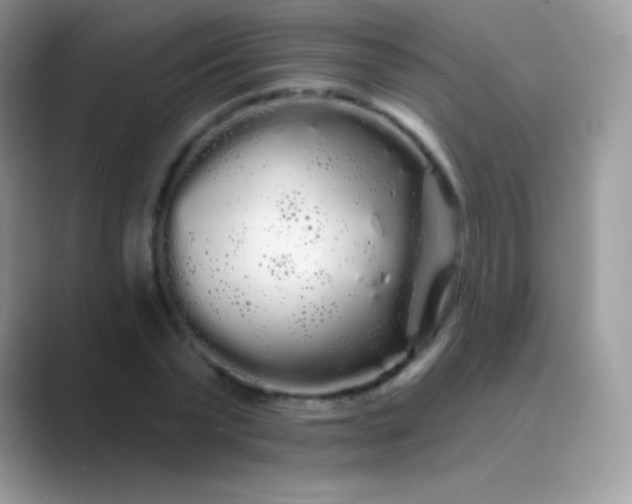 X0000089760783200707051832