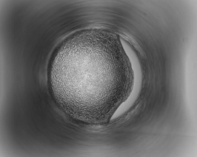 X0000089760784200707051832