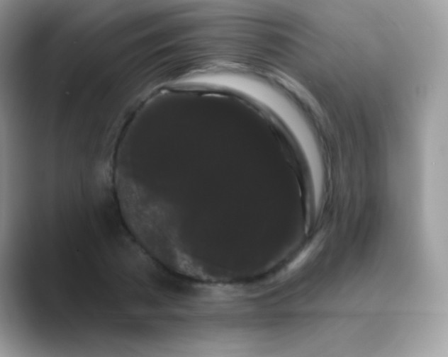 X0000089760785200707051832