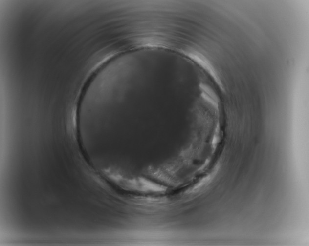 X0000089760790200707051832