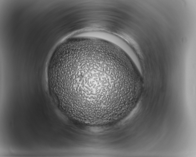 X0000089760792200707051832