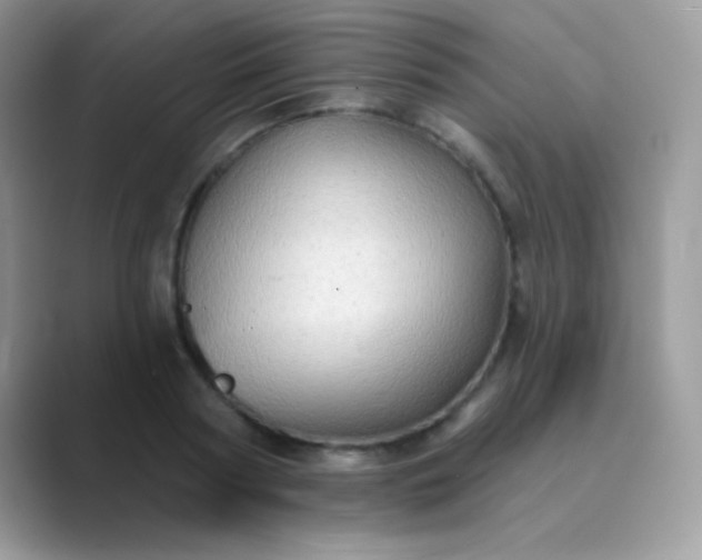 X0000089760794200707051832