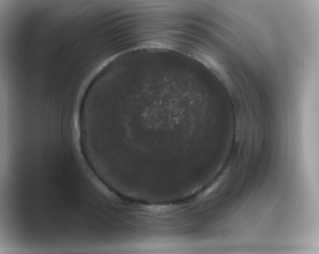 X0000089760796200707051832