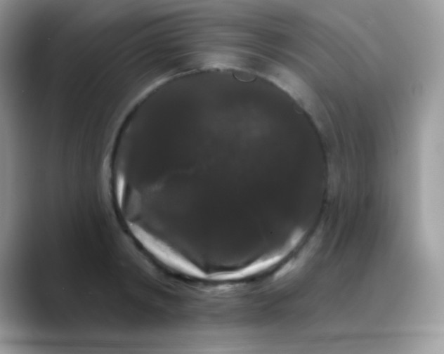 X0000089760798200707051832