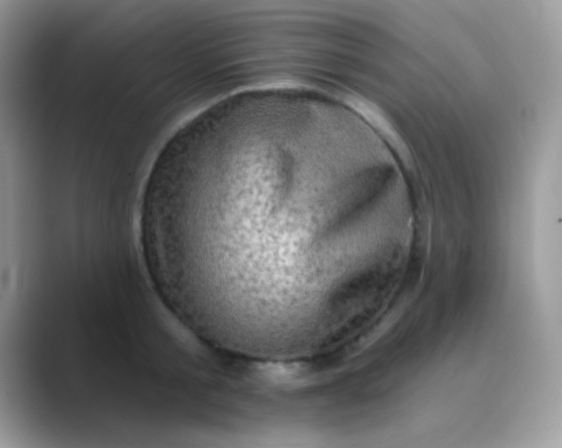 X0000089760805200707051832