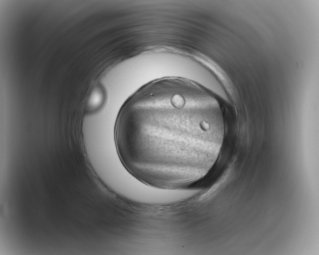 X0000089760809200707051832