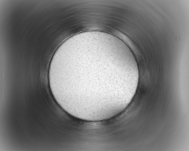 X0000089760810200707051832