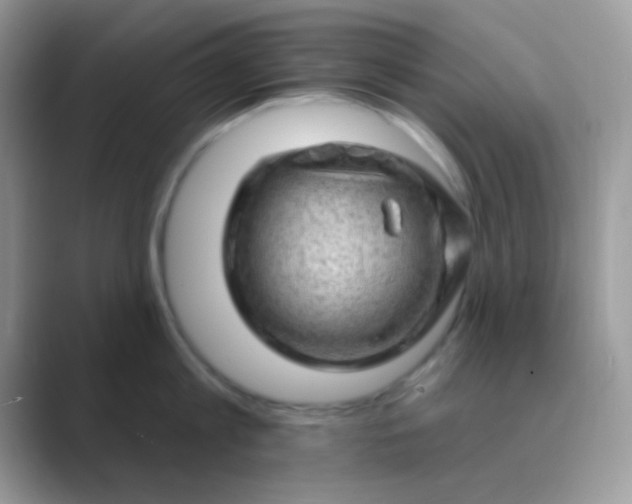 X0000089760813200707051832