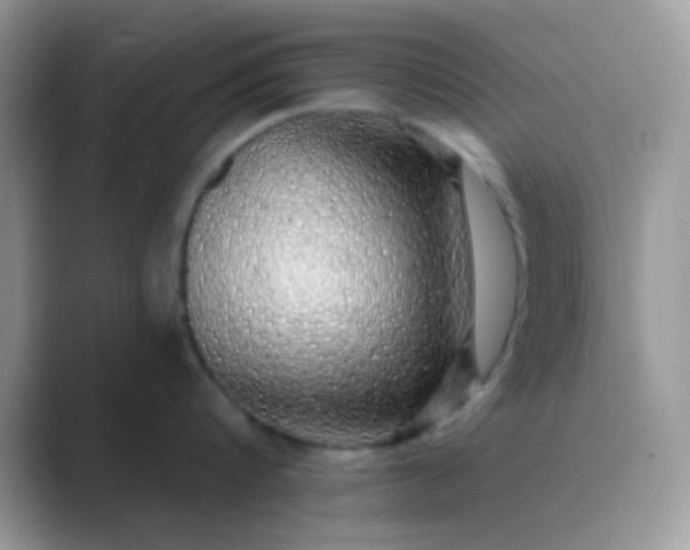 X0000089760816200707051832