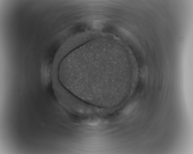 X0000089760818200707051831