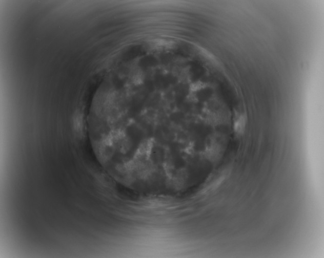 X0000089760819200707051831