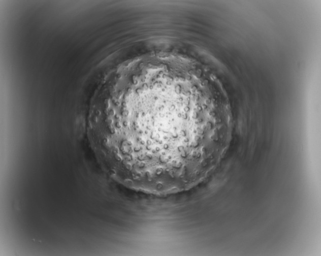 X0000089760821200707051831