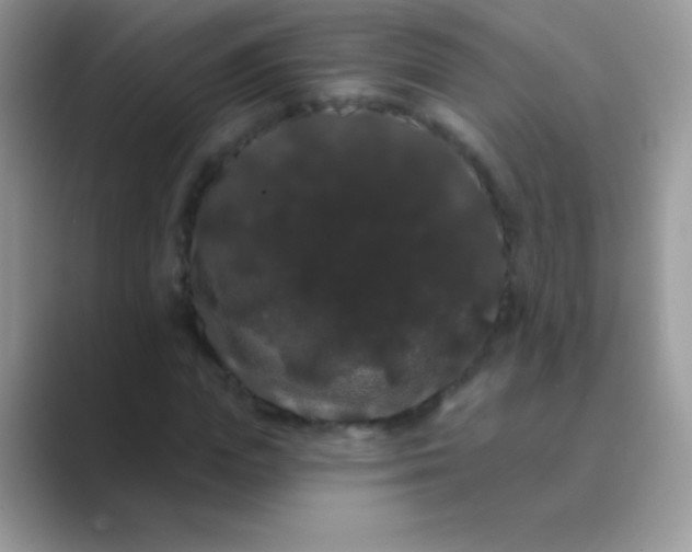 X0000089760823200707051831