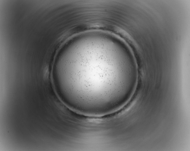 X0000089760825200707051831