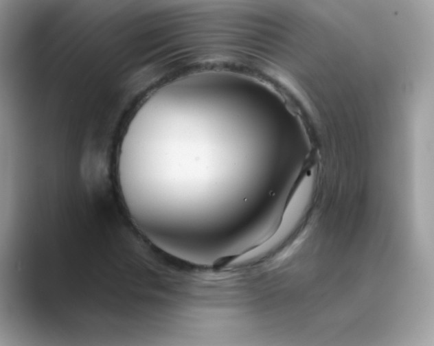 X0000089760826200707051831