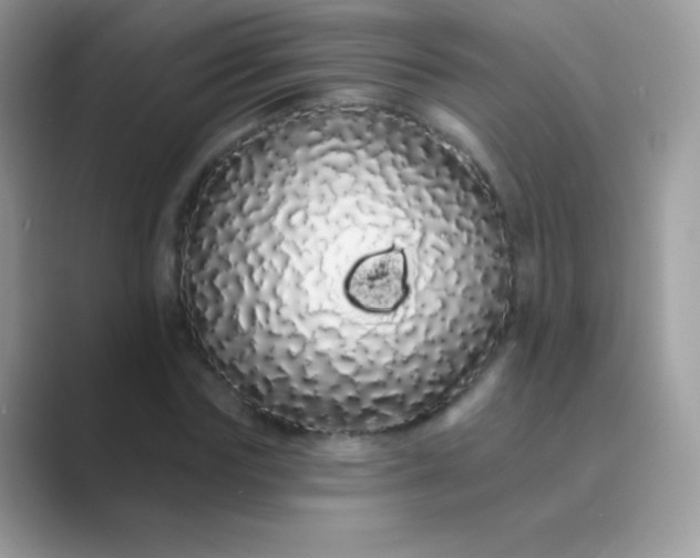 X0000089760827200707051831